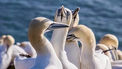 足球比分-网页版登录入口:开启高效工作的新起点