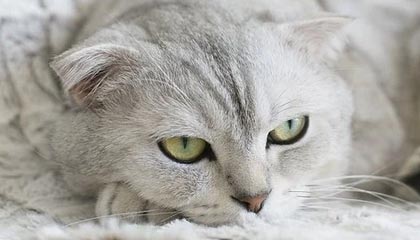 开云:让云端成为你生活与工作的新起点